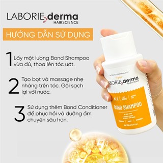 Dầu gội phục hồi tái sinh cấu trúc tóc ngăn ngừa gãy rụng Laborie Derma Bond Shampoo