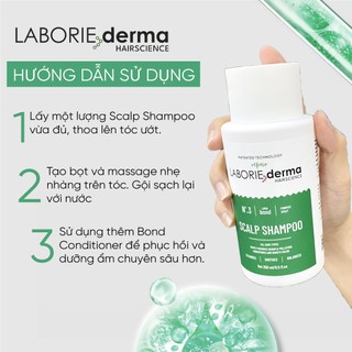 Dầu gội giảm gàu và cân bằng dầu Laborie Derma Scalp Shampoo