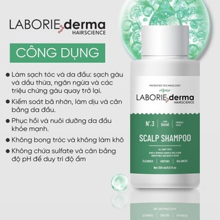 Dầu gội giảm gàu và cân bằng dầu Laborie Derma Scalp Shampoo