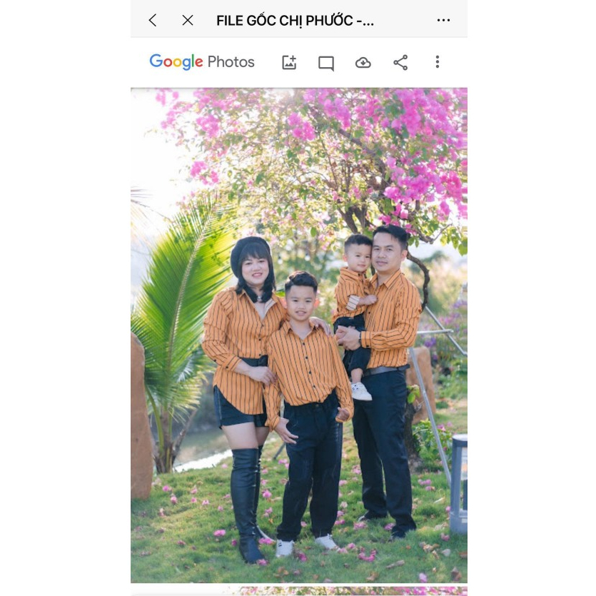 Set Áo Sơ Mi Đôi Nam Nữ Fig Tree Sọc Vàng ( Mã 145C)