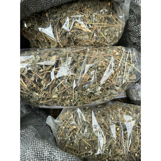 Cỏ Xước Khô 1KG –Hỗ Trợ Xương Khớp, Tiểu Tiện, Thanh Nhiệt, Dược Liệu Sạch