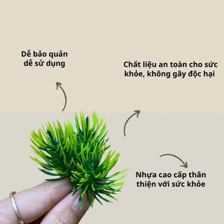 1kg điểm Tùng kim ( quả thông ) trang trí giỏ quà, hoa quả ,…- Lá giả decor
