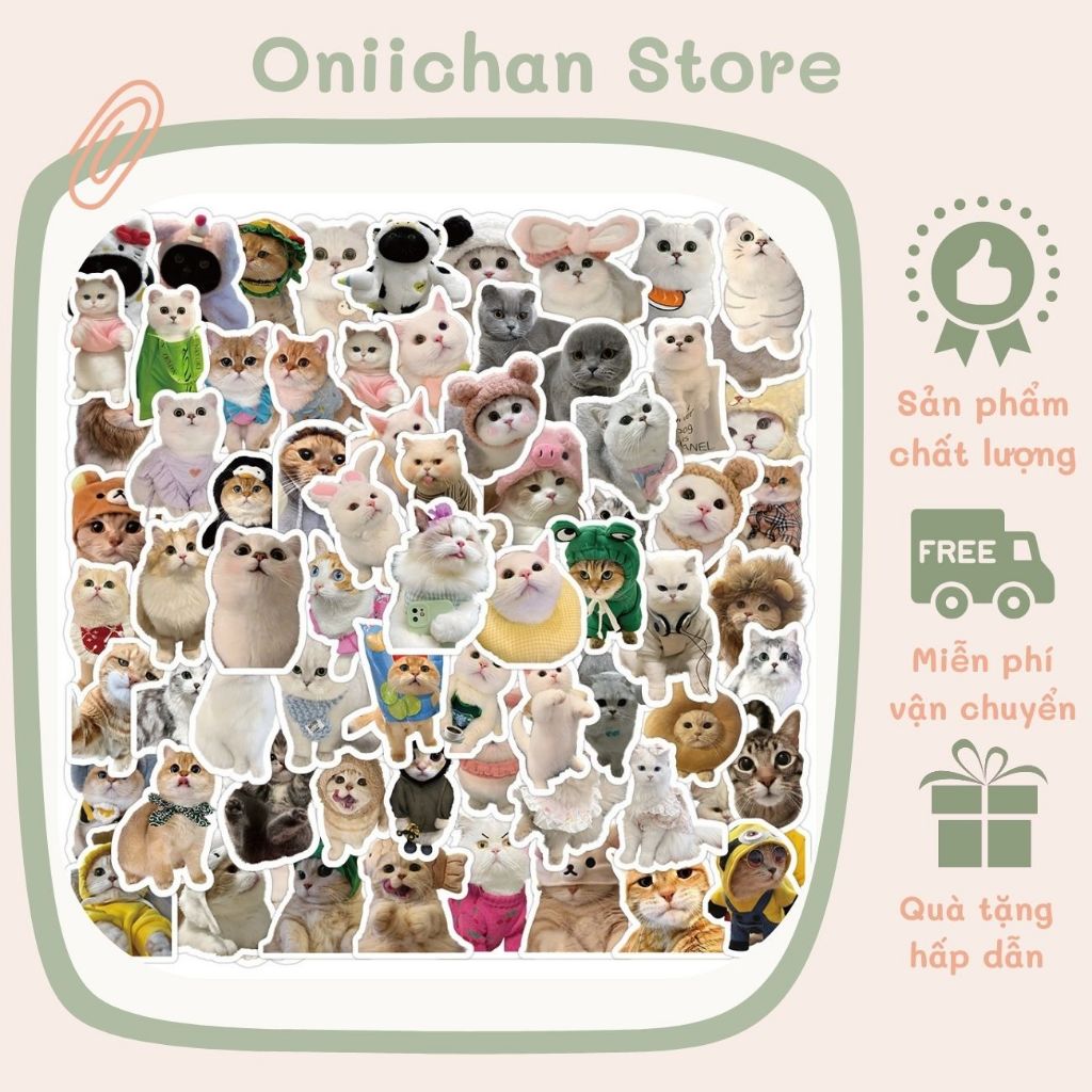 Bộ 100 sticker meme mèo cute gấu thỏ hoạt hình dễ thương hình dán trang ...