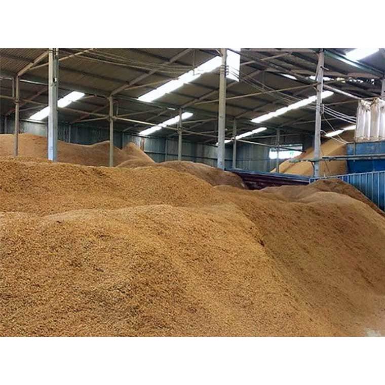 Vỏ trấu trồng cây, Vỏ trấu khô sạch trồng cây sen đá, giá thể sen đá - CANH NÔNG
