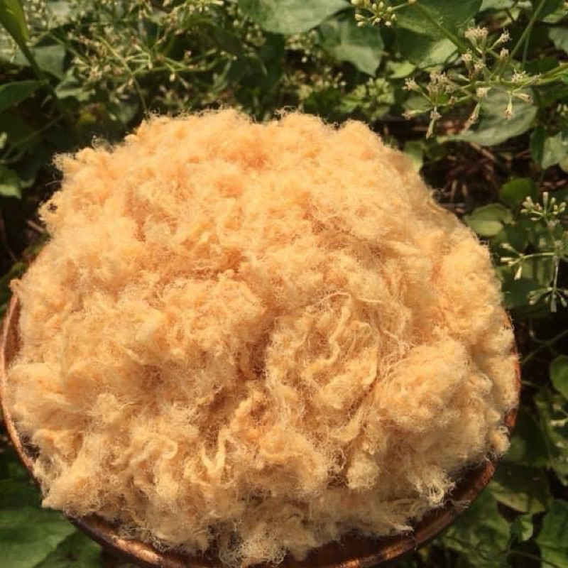 CHÀ - BÔNG - XÙ Thịt Gà loại 1 ngon đặc biệt nhà làm - DuyKhangFOOD