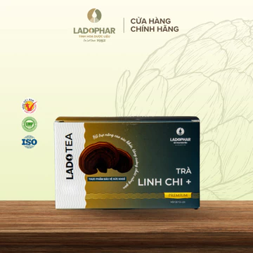 Trà Túi Lọc Linh Chi Ladophar hỗ trợ tăng cường sức khỏe hỗ trợ tuần hoàn máu (Hộp 20 Túi) - Ladophar