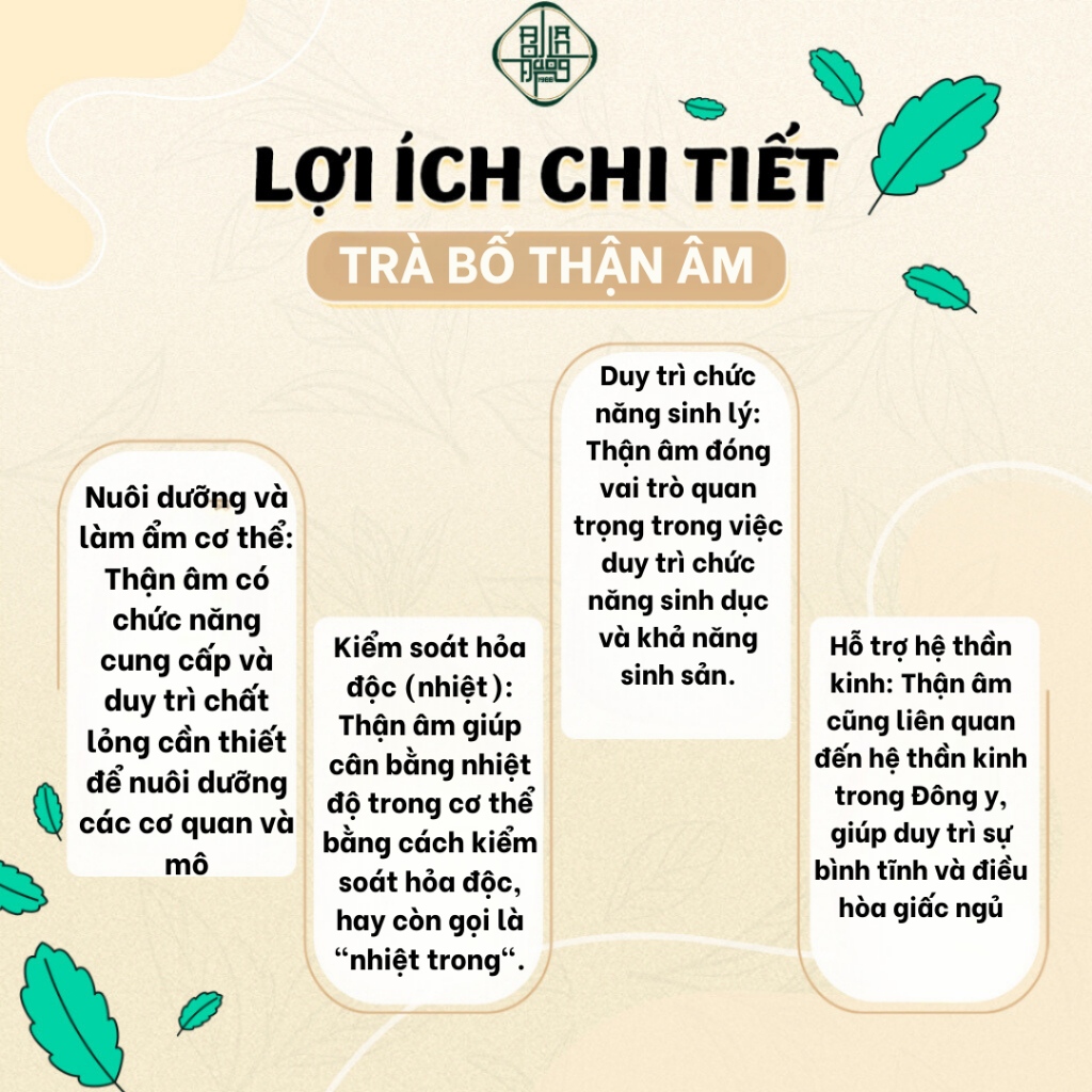 Trà Bổ Thận Âm Bội Lan Đường Giải Trừ Chứng Thận Âm Hư, Chân Tay Lạnh, Tê Bì Chân Tay, Đổ Mồ Hôi Trộm