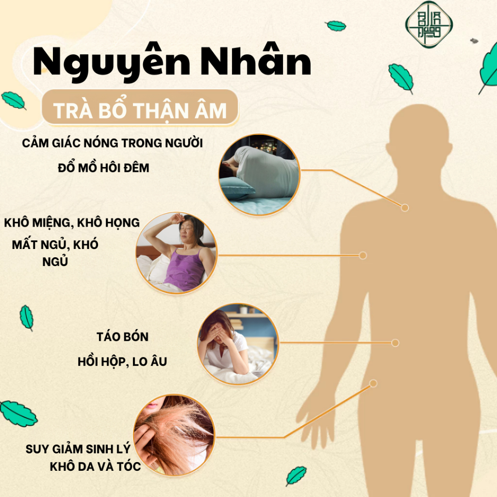 Trà Bổ Thận Âm Bội Lan Đường Giải Trừ Chứng Thận Âm Hư, Chân Tay Lạnh, Tê Bì Chân Tay, Đổ Mồ Hôi Trộm