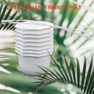 Chậu treo trồng hoa Tròn (22x12,5cm)