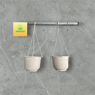 Chậu treo trồng hoa Tròn (22x12,5cm)