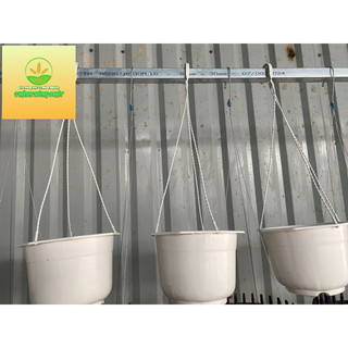 Chậu treo trồng hoa Tròn (22x12,5cm)