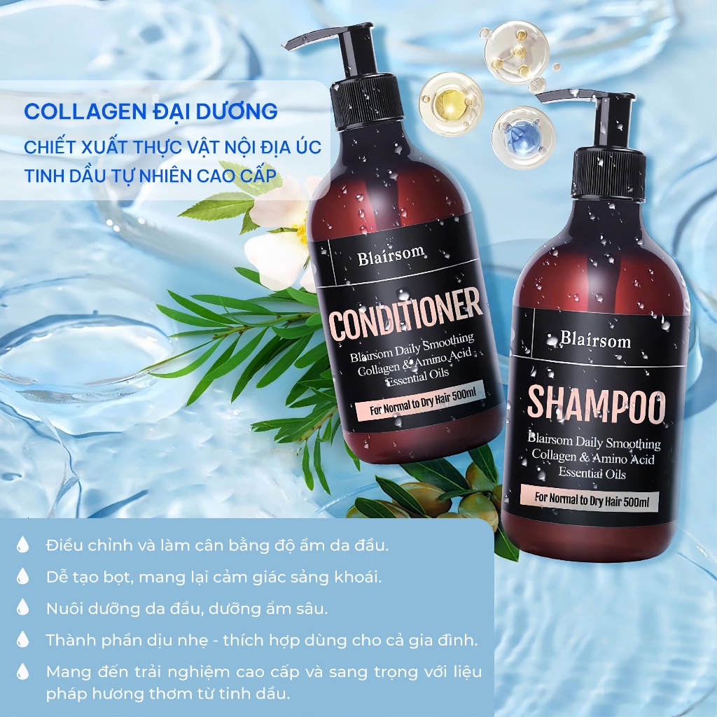 Bộ Đôi combo gội xả Blairsom (Úc) Dưỡng ẩm Suôn mượt - Phục hồi hư tổn (Dành cho tóc khô, tóc thường) ;dung tích (500ml)