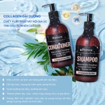 Bộ Đôi combo gội xả Blairsom (Úc) Dưỡng ẩm Suôn mượt - Phục hồi hư tổn (Dành cho tóc khô, tóc thường) ;dung tích (500ml) — ảnh 4