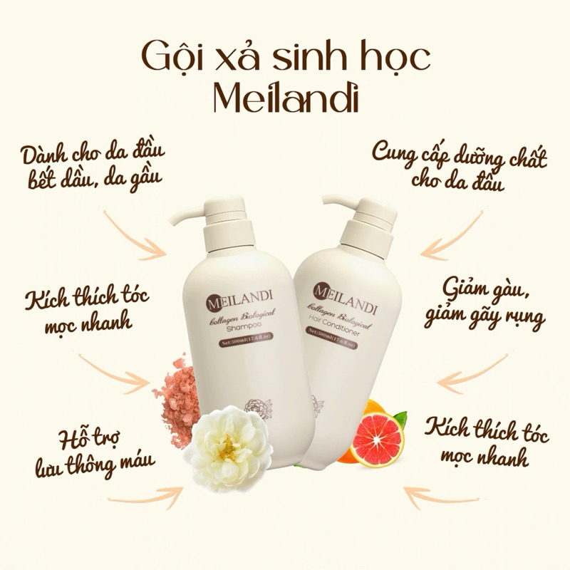 Bộ Dầu Gội Xả Collagen Phục Hồi Siêu Mượt Meilandi Giảm Rụng Mọc Tóc Hương Trà Xanh