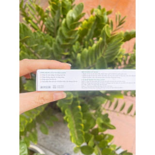 Vi Gai Meso Collagen Siêu Nhỏ Lỗ Chân Lông  xoá nếp nhăn, đàn hồi trẻ hoá da Căng Bóng Da Dưỡng Trắng Da