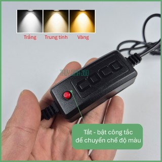 Đèn Rọi COCO SD - 3 Chế Độ Màu - Cho Hồ Cá Cảnh Thủy Sinh Biotop, Bán Cạn, Tiểu Cảnh