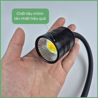Đèn Rọi COCO SD - 3 Chế Độ Màu - Cho Hồ Cá Cảnh Thủy Sinh Biotop, Bán Cạn, Tiểu Cảnh