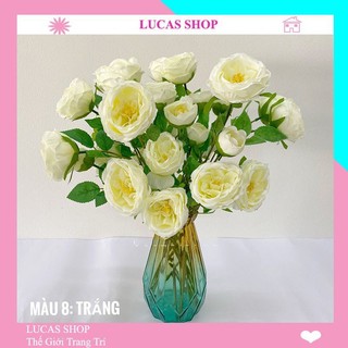 Combo 10 cành hoa giả - Hoa trà David Lucas 65cm trang trí bền, đẹp, sang trọng, giống thật