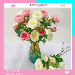 Hoa giả - Hoa trà David Lucas 65cm trang trí bền, đẹp, sang trong, ảnh thật
