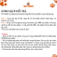 Five-Clean Ear for pet - Làm sạch, dưỡng ẩm, ngăn ngừa viêm tai ngoài (100ml)