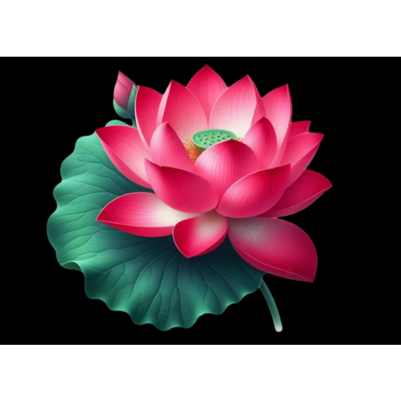 [Hình ủi nhiệt] hình hoa ủi áo tại nhà bằng bàn là bàn ủi