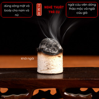 Ngải cứu thảo mộc viên nhỏ dùng xông lưu thông kh-í h-uyết cho cả n-am và n-ữ 1 hộp 54 viên