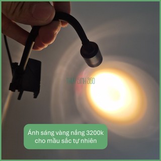 Đèn Rọi Mini Coco - Điều Chỉnh Tiêu Cự - Phù Hợp Bể Cá Cảnh, Bán Cạn, Tiếu Cảnh, Biotop