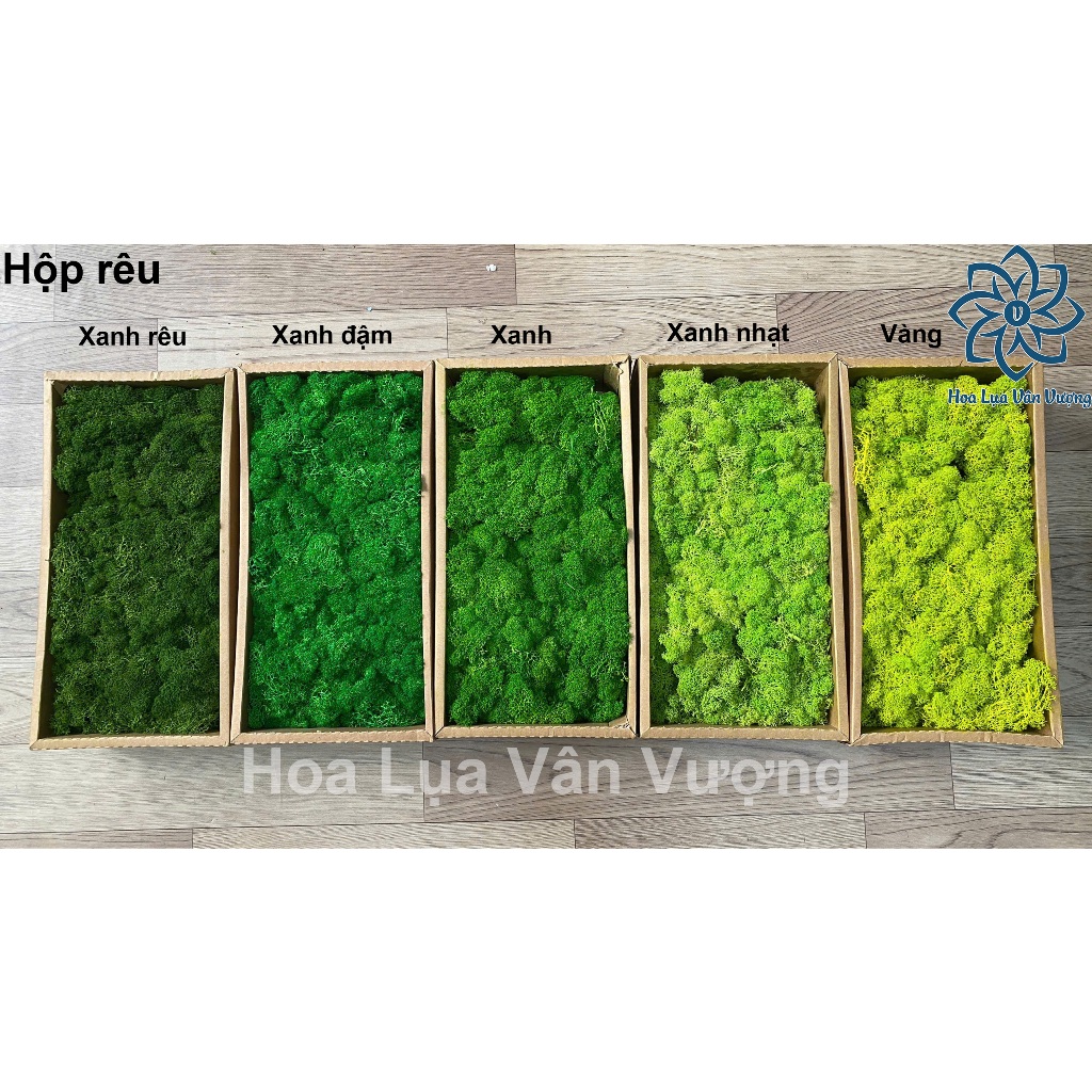 Rêu Tuần Lộc, Rêu Làm Mô Hình Tiểu Cảnh Tạo Cành San Hô Hồ Resin ...