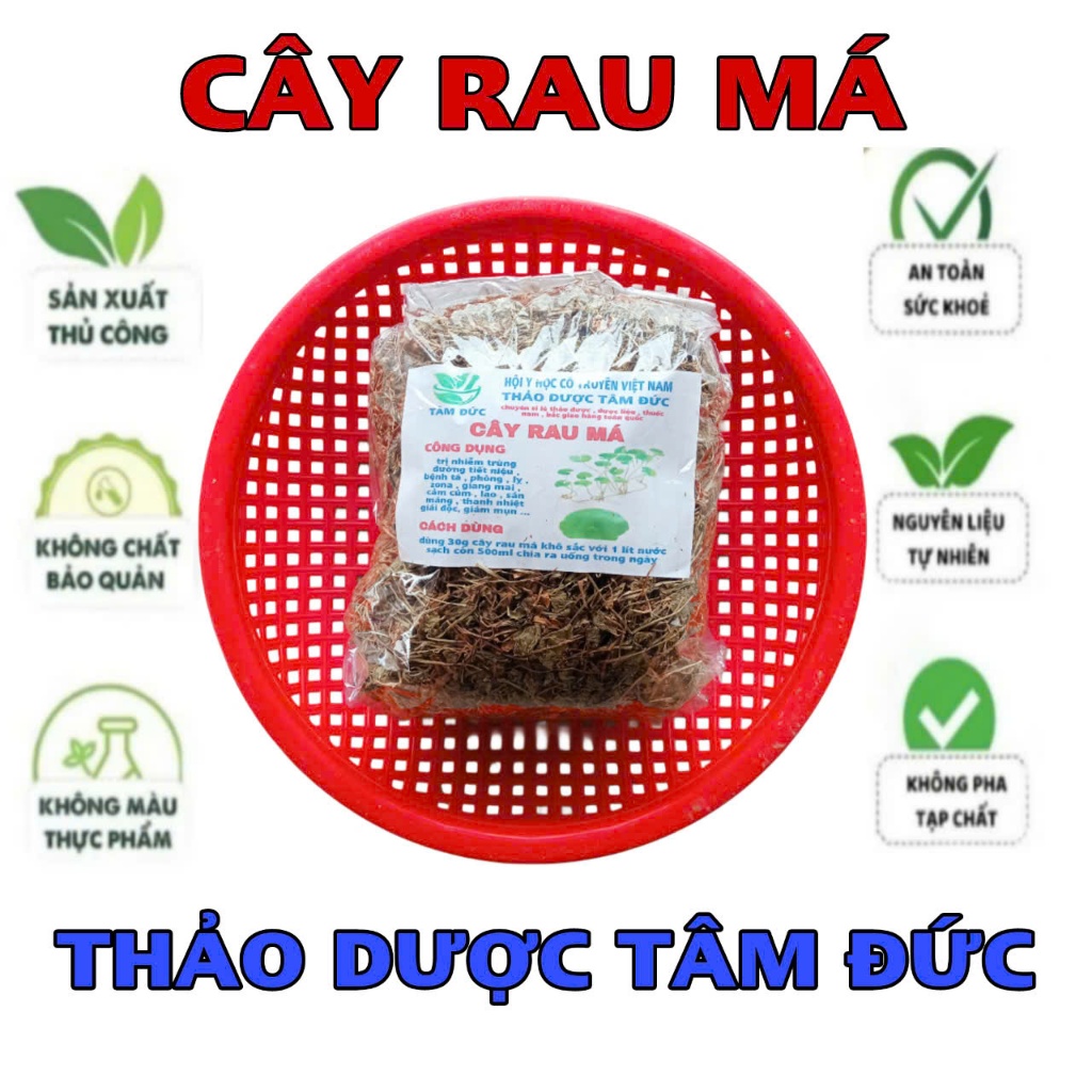 1kg cây rau má sấy khô hữu cơ | Shopee Việt Nam