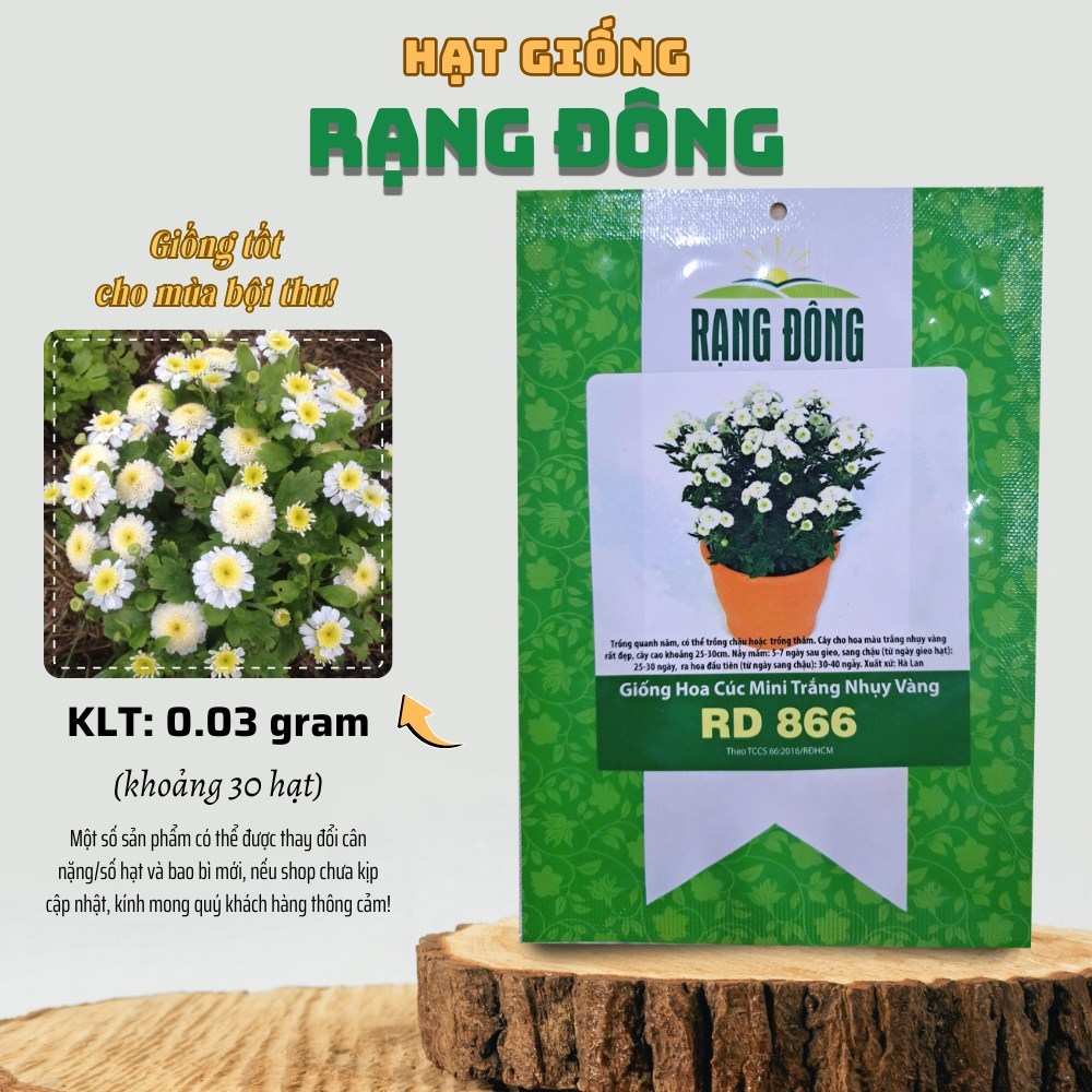 Hạt giống Hoa Cúc Mini Trắng Nhụy Vàng Rd 866 (0,03g~ hạt) trồng chậu ...