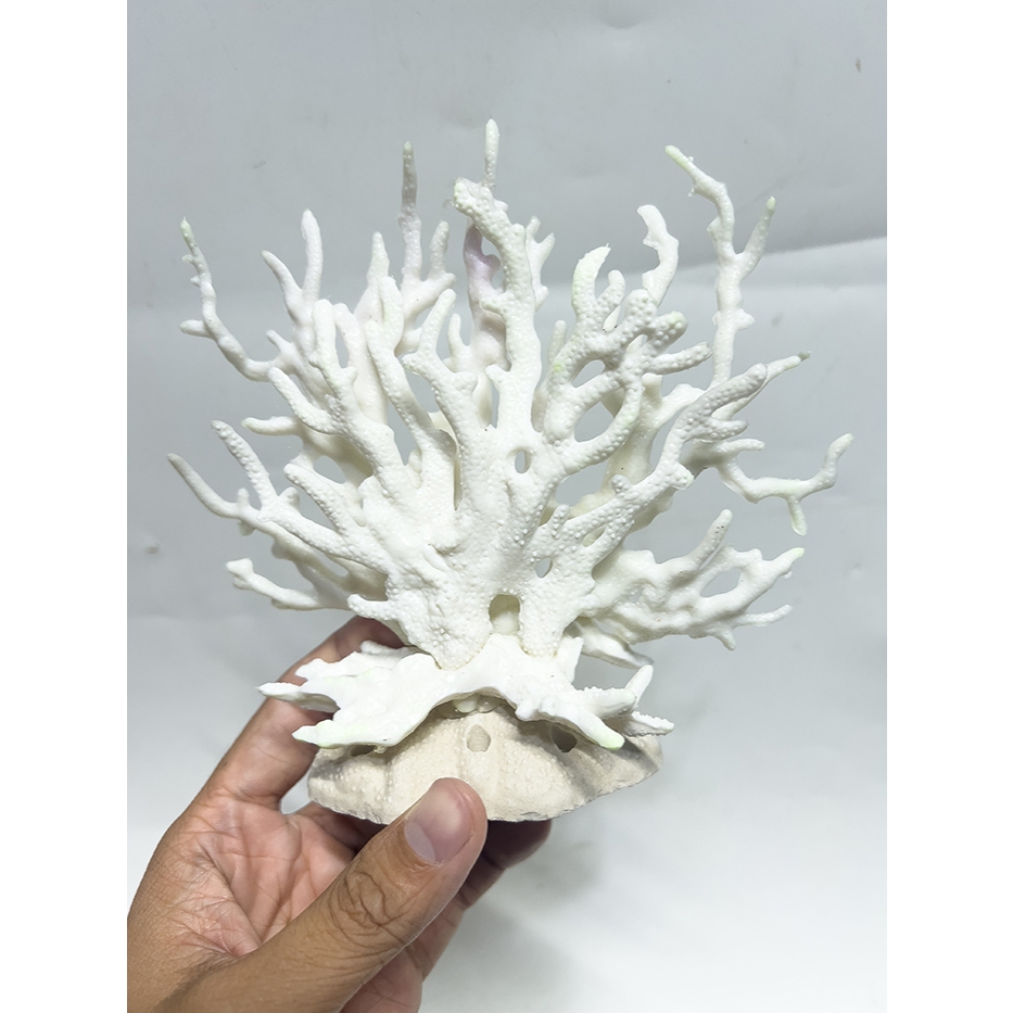 SAN HÔ NHÂN TẠO TRANG TRÍ HỒ CÁ, NON BỘ CAO 14CM