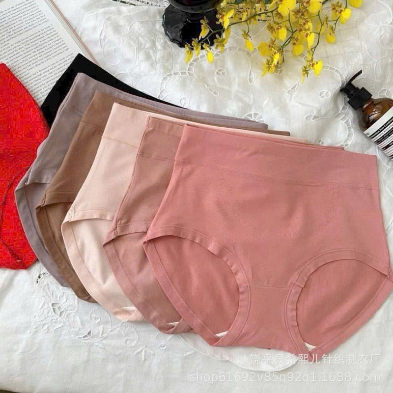 Quần lót cạp cao cotton gen bụng 1104