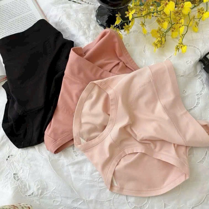 Quần lót cạp cao cotton gen bụng 1104
