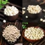 Thổ bối mẫu 100g, bối mẫu Tứ Xuyên, khô, thơm, hạt to, sạch, giúp giảm ho, tiêu đờm, đau họng
