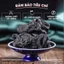 Thục địa 100g, thục địa hoàng, củ to, thơm, dẻo, nguyên liệu nấu nước sâm bí đao