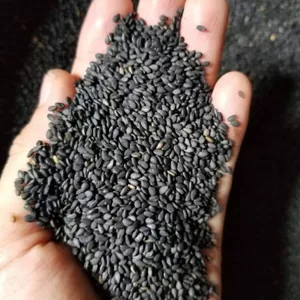 1KG MÈ ĐEN (Vừng đen) _ Mè đen đã rửa sạch phơi khô _ mè đẹp _Nấu xôi, nấu cháo, nấu chè, làm bánh, làm sữa
