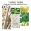 Thông thảo khô 100g, trà thông thảo, thơm, trắng, dùng pha trà, nấu cháo, hầm canh - Tiệm Lãn Ông