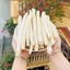 Thông thảo khô 100g, trà thông thảo, thơm, trắng, dùng pha trà, nấu cháo, hầm canh - Tiệm Lãn Ông