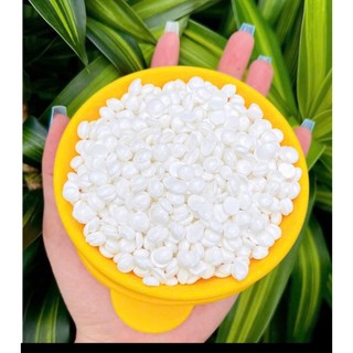 [TẶNG SERUM] 500g sáp wax lông sữa dừa coconut thơm tẩy mọi loại lông kể cả vùng da nhạy cảm Lyihome