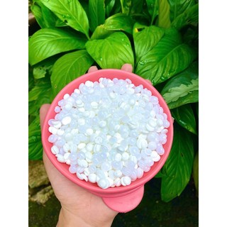 [TẶNG SERUM] 500g sáp wax lông sữa dừa coconut thơm tẩy mọi loại lông kể cả vùng da nhạy cảm Lyihome