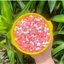 500g sáp wax lông sữa dừa coconut thơm tẩy mọi loại lông kể cả vùng da nhạy cảm Lyihome