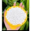 500g sáp wax lông sữa dừa coconut thơm tẩy mọi loại lông kể cả vùng da nhạy cảm Lyihome