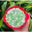 500g sáp wax lông sữa dừa coconut thơm tẩy mọi loại lông kể cả vùng da nhạy cảm Lyihome