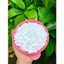 500g sáp wax lông sữa dừa coconut thơm tẩy mọi loại lông kể cả vùng da nhạy cảm Lyihome
