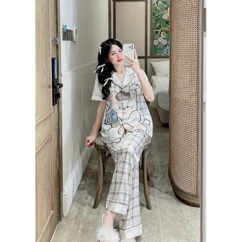 Gấu ảnh TN