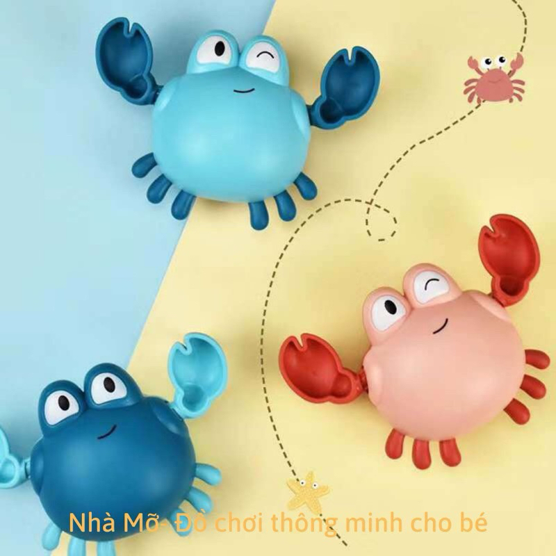 Đồ chơi thả bồn tắm cho bé vịt nước, rùa bể bơi, hồ bơi, phòng tắm- bơi trong nước vặn cót cho bé
