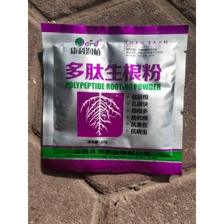 Siêu kích rễ - ươm cành polypeptide rooting powder nhập khẩu Trung Quốc ...