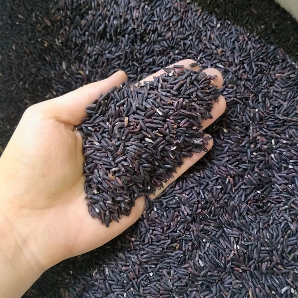Gạo Lứt Đen Dẻo Điện Biên Thơm Ngon (1Kg Loại đặc biệt)