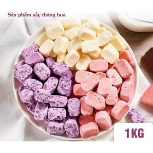 Sữa chua sấy thăng hoa , trái cây sấy thăng hoa , trái cây sấy giòn , ăn vặt snack , không đường .Trái cây sấy Minh Nhi