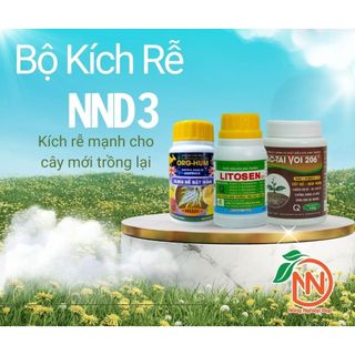 Bộ Kích Rễ NND 3 - Org Hum - Litosen - AC Tai Voi 206
